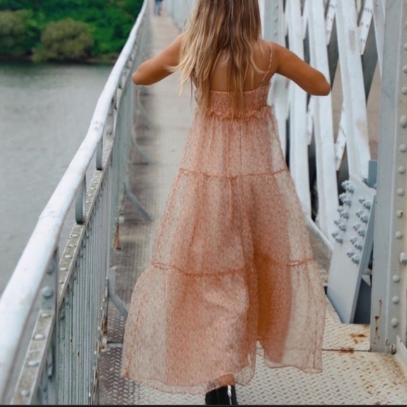 NWOT🌸Blogger’s Favorite Organza Dress - Picture 3 of 16